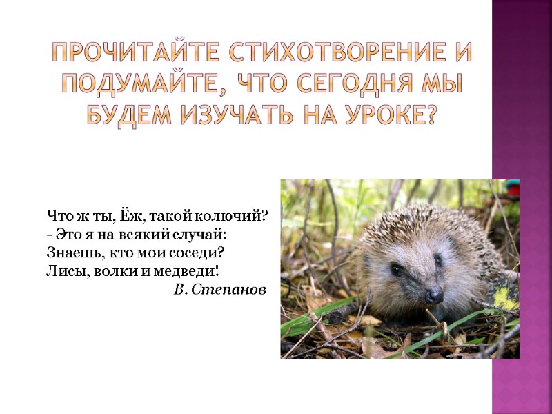 Что ж ты, Ёж, такой колючий? - Это я на всякий случай: Знаешь, кто